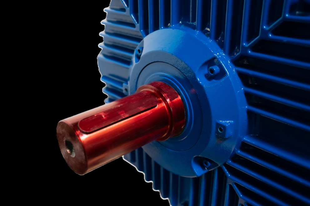 Cantoni elektromotor 100% Europees, krachtig, efficient en snel leverbaar